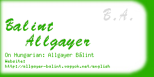 balint allgayer business card